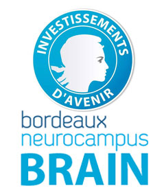 bordeaux-brain